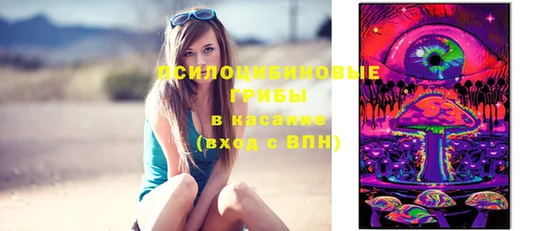 дживик Лабытнанги