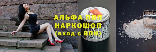 гашик Кукмор