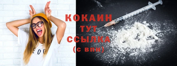 прущие грибы Александровское
