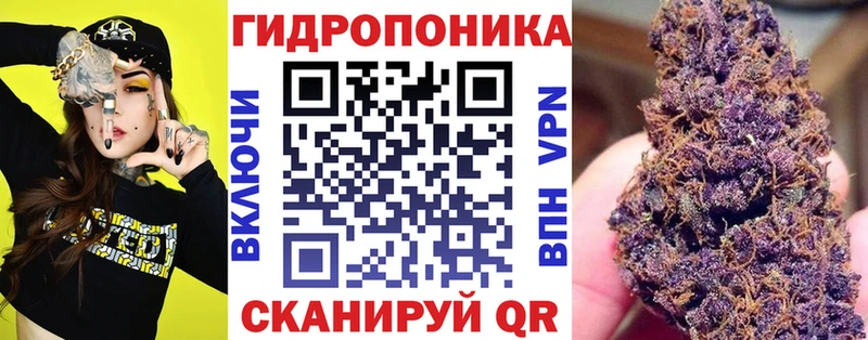 omg ТОР  Щёлкино  Марихуана гибрид 